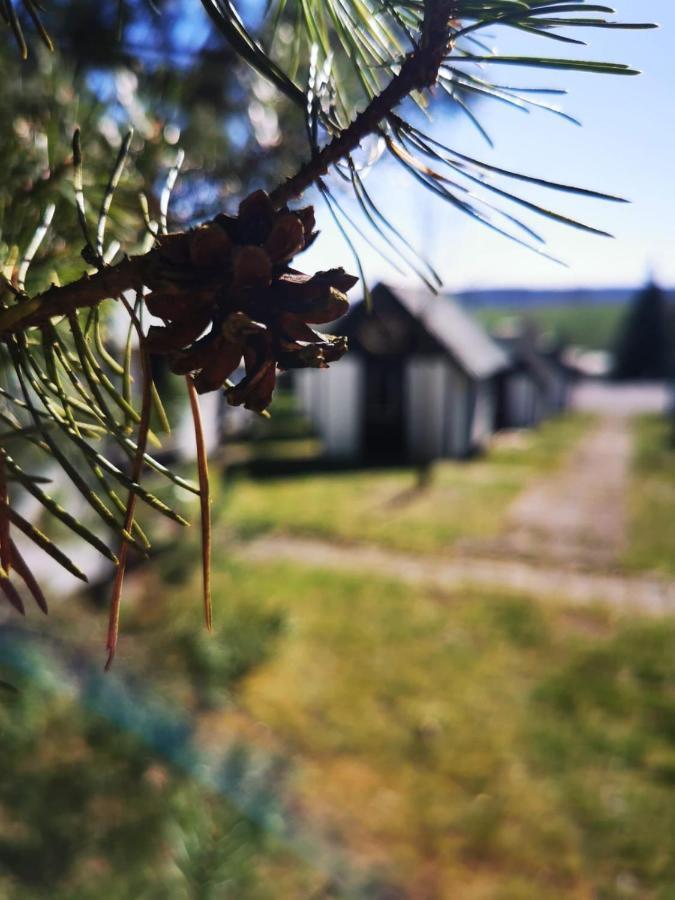 Hôtel Cyklocamp Pod Landstejnem à Stare Mesto  Extérieur photo